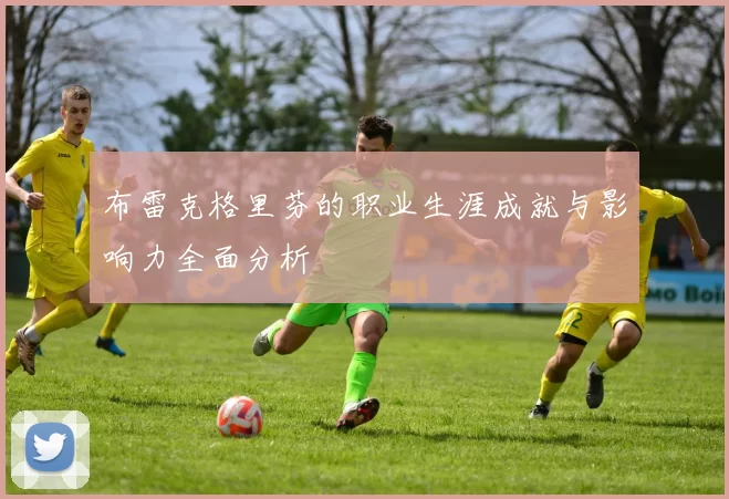 布雷克格里芬的职业生涯成就与影响力全面分析