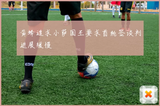 黄蜂追求小萨国王要求首轮签谈判进展缓慢